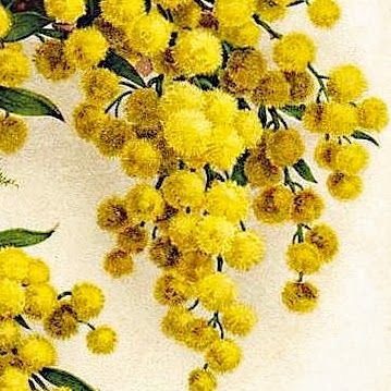 ViganoCarmen's profile picture. - Io non cerco trovo (Picasso)- io, invece, il contrario! Ex-insegnante di Geometria Descrittiva! Vicino a Como, Lombardia , Italia. I dream Mr Armitage.