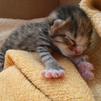 横中の野本です。皆さんフォローよろしくお願いしますー！