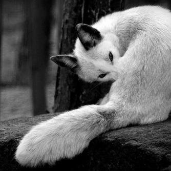 lskcity's profile picture. 