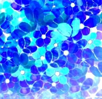 花言葉を載せます。手動なので載せる時間はバラバラよ。たまに花言葉と関係ない呟きしちゃうかも…。リプ、フォローお気軽に。多分フォロバする。