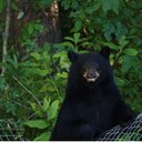 Garth Miller - @millerconky - Twitter