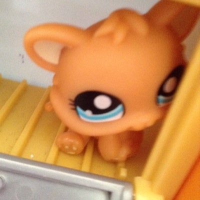 Official Twitter For LPS Magic on youtube!https://t.co/qaFVd8efv0 BOOM LINK!