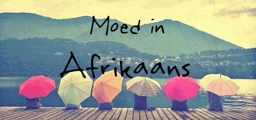 Stukkende mense is die mooiste, musiek is 'n dwelm en God is die enigste konstante ♡