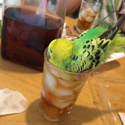 レモン Ljl のコメントわろた 面接官 君lolしたことある 俺 ないです 面接官 本当に 俺 ないですよ 面接官 皇帝セロス 俺 セイセイセイ Wwww 面接官 君lolしたことあるよね 俺 無いです