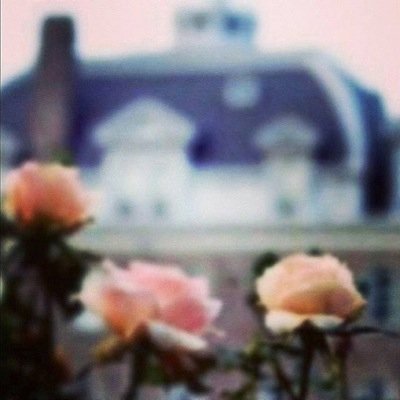 bulbulhmailk's profile picture. 