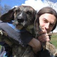 Luca Bracchi (@lucabracchi) Twitter profile photo