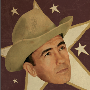 Guitar player, songwriter and singer (rockabilly, hillbilly, western swing, swing, ragtime, blue grass...)