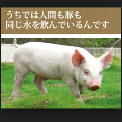 黒い砂漠モバイル  CODM 今はこんなもん！