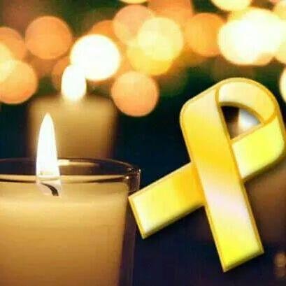 soecology's profile picture. 사회생태공공성연구소 트윗계정