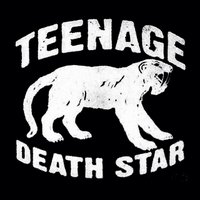 TeenageDeathStar (@teenagedeathstr) 's Twitter Profile