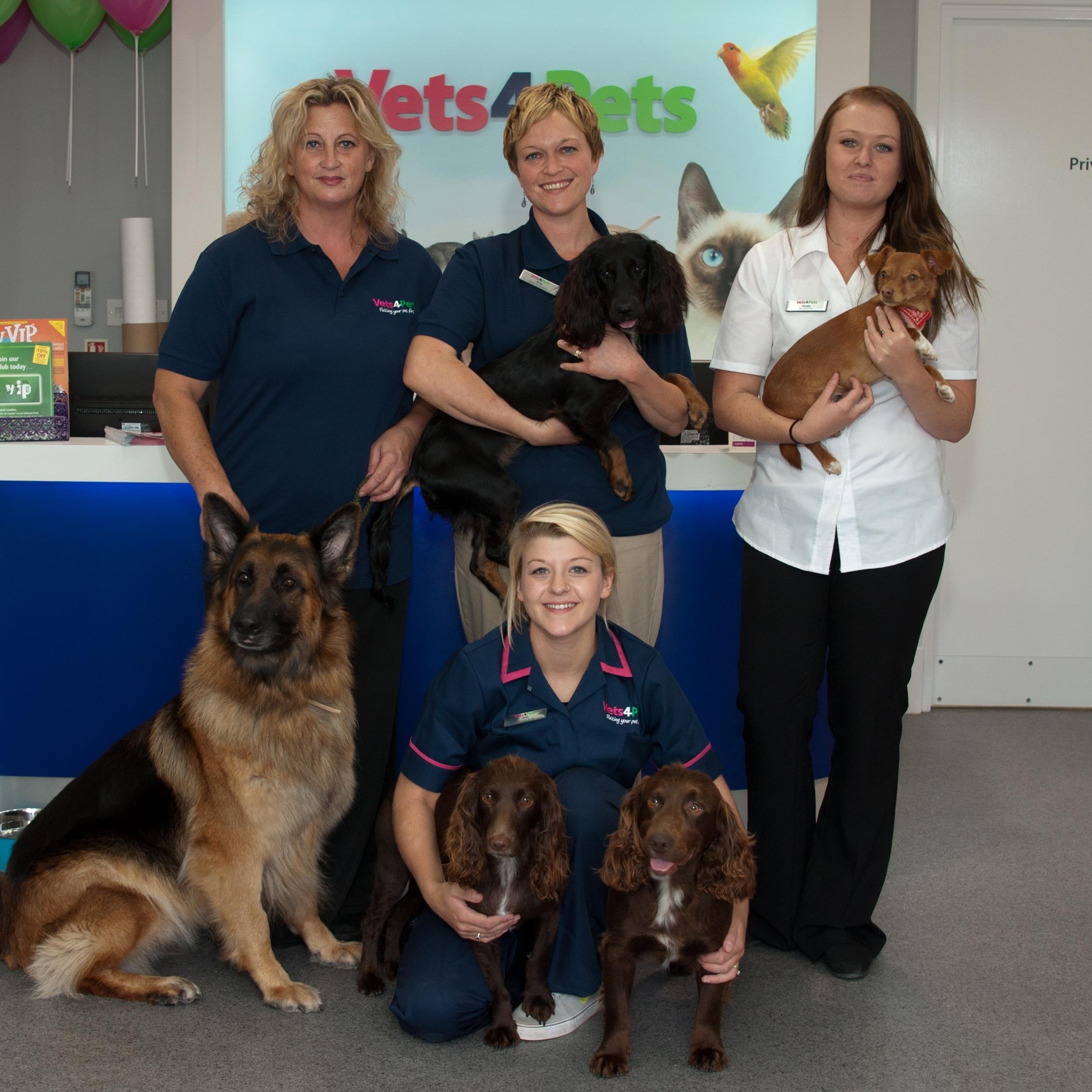 vets4pets vip