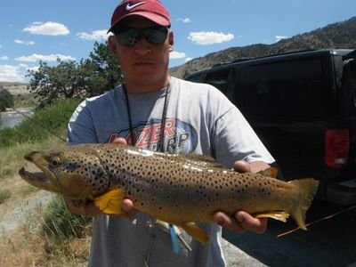 Don't have time for stupidity on the river!