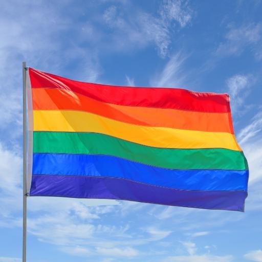 Norton High School Gender Sexuality Alliance (GSA)
Presidents Alex Karcis & Charley Beatty