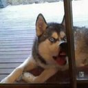 Stephen Brunt - @brunt_stephen - Twitter