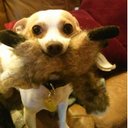 Mark Hatfield - @hatraak - Twitter