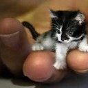 Shannon Trice - @shannontrice2 - Twitter