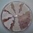 Strep_papers's profile image