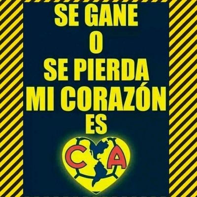 arriba el america!!!
