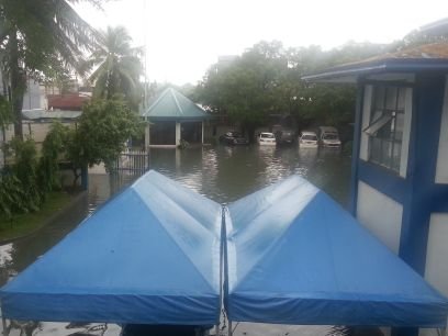 VGerente's profile picture. Born following virtues of  Leaderhip  Friendship and Service  with Honor ,Integrity, and Justice..Above all guided by the symbol of letter G the Great Architect