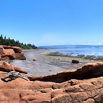 NSGirl7's profile picture. 