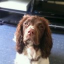 David Friday - @dfchip1 - Twitter