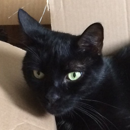 Tudanapshum's profile picture. Demonologist who doesn’t tweet.