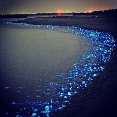 mobinet811's profile picture. 