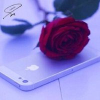 استغفر الله (@f_7op) 's Twitter Profile