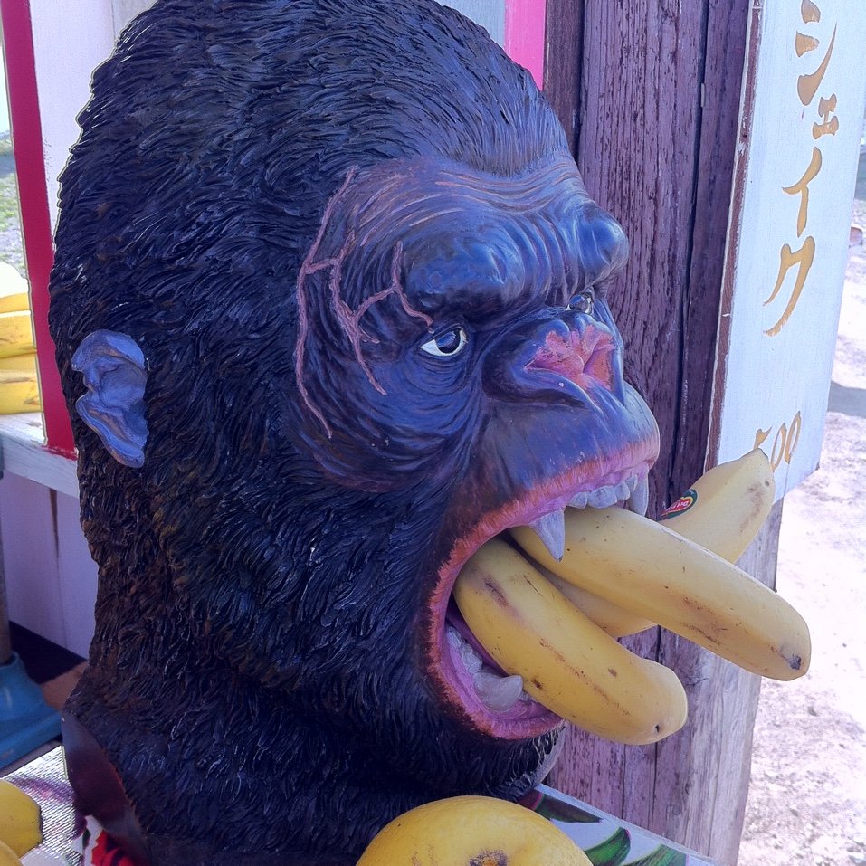 アクティブ。ダブ。