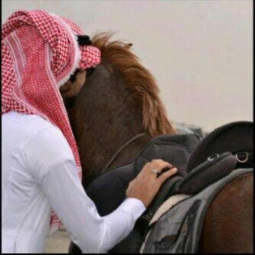 fypygDo's profile picture. ثلاث صفات للمتفائلين: يبحثون عن الجانب المضيء لكل موقف. يسعون لتعلم الدروس القيمة من كل مشكلة. يبحثون عن الحلول بدلاً من لوم الآخرين