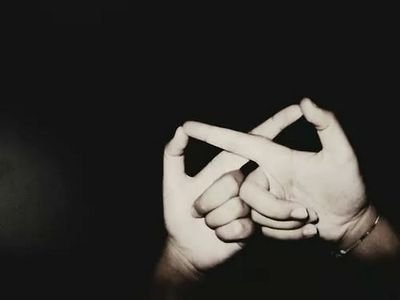 EstepaRey's profile picture. 