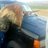 RedneckRed13's profile image