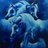 lyoo_11's profile image