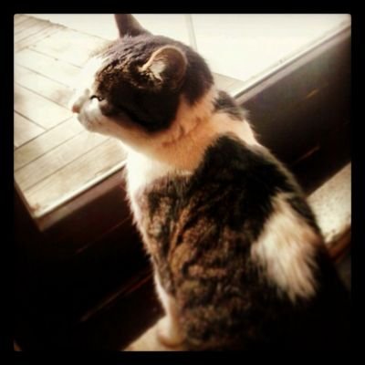 dindils_'s profile picture. 