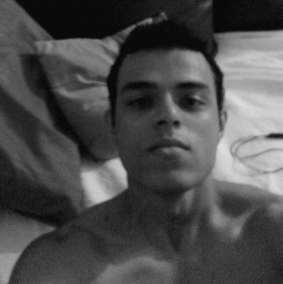 tauandeheiligen's profile picture. 