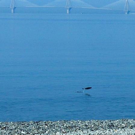 bety_Gav's profile picture. 