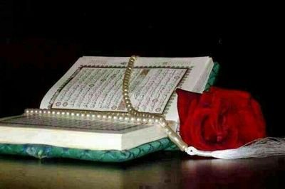 Wollo333's profile picture. Alhamdulillah
