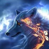 Female white Timber wolf. Taken by Kaltag. Demons have taken over me and now I am a powerful wolf capable of tormenting and powers you won't believe. has 6 pups