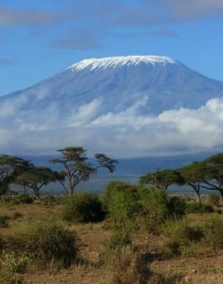 jerukatondo's profile picture. 