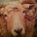 Mrs Reeve (@mrsreevepont) Twitter profile photo Mrs Reeve (@mrsreevepont) Twitter profile photo