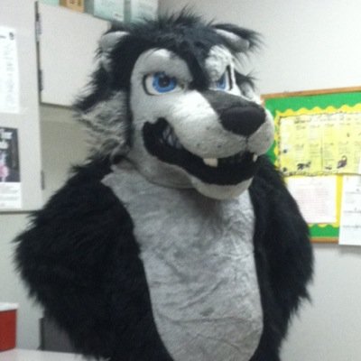 TimmytheT_Wolf Profile Picture