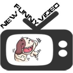 NewFunnyVideo Profile Picture