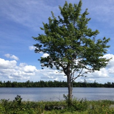 fggagnon's profile picture. Operations Manager NBEMS (Emergency Medical Dispatcher)and SAR volunteer