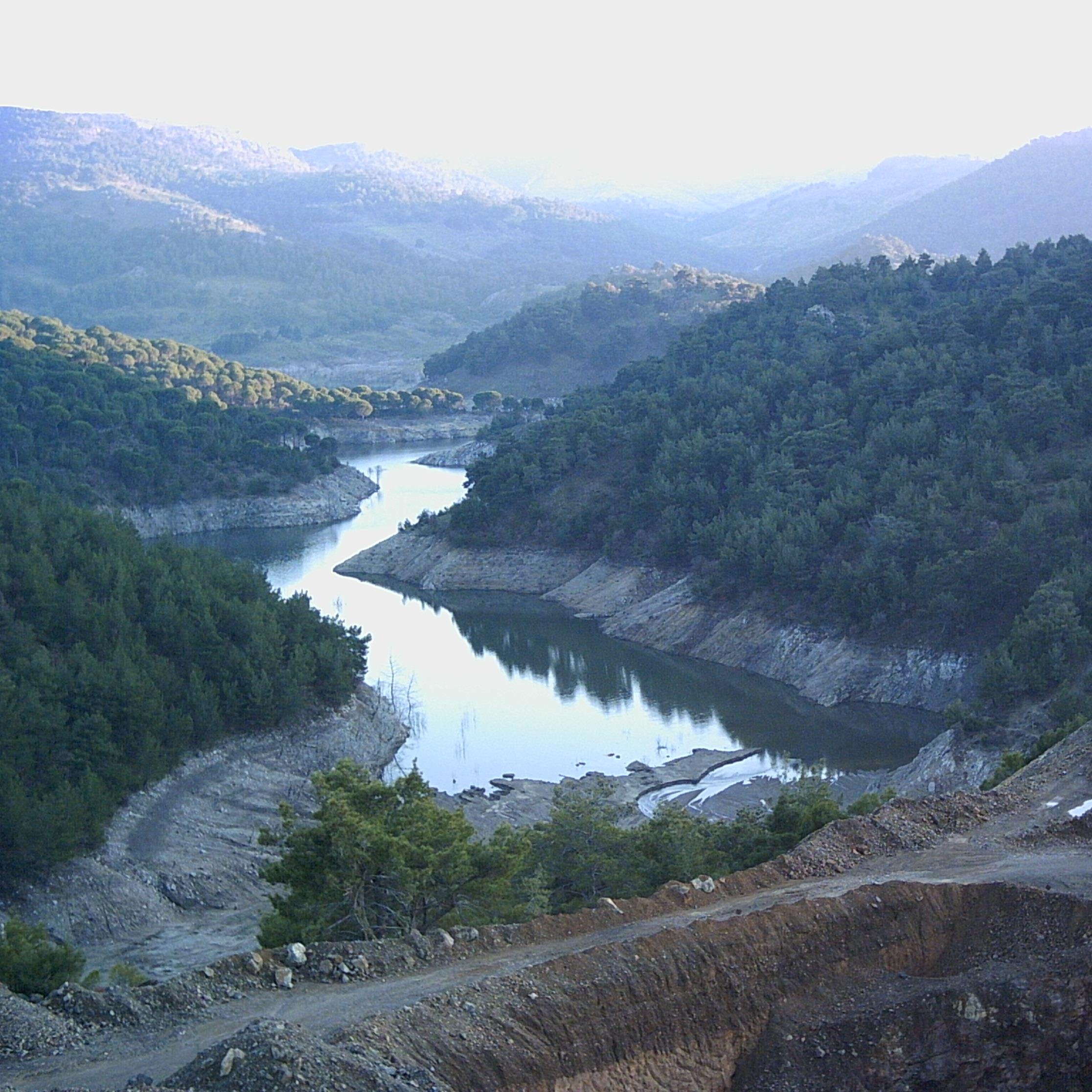 mmsozkan's profile picture. 