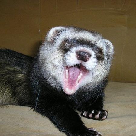 IntrlCore's profile picture. 