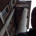 Paul Elgood 🔶 (@palmeirasquare) Twitter profile photo Paul Elgood 🔶 (@palmeirasquare) Twitter profile photo
