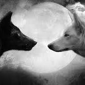 ArielDawnUlf's profile picture. 