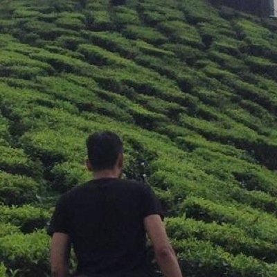 MohaCoal's profile picture. 