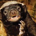 james garton - @honeybadger2020 - Twitter