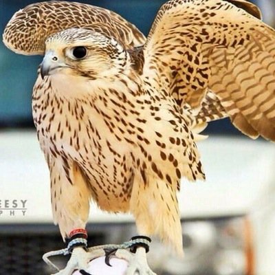 أفتح قلبك للحياة ... فهي رائعة .... باختصار .... حياتك نعمة من الله لن تتكرر !!